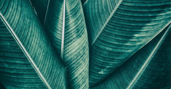 Join our SOFT LAUNCH Phase!