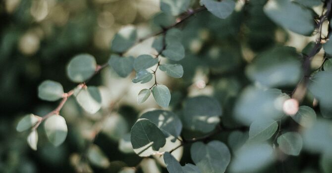 Exercise Programming and Support