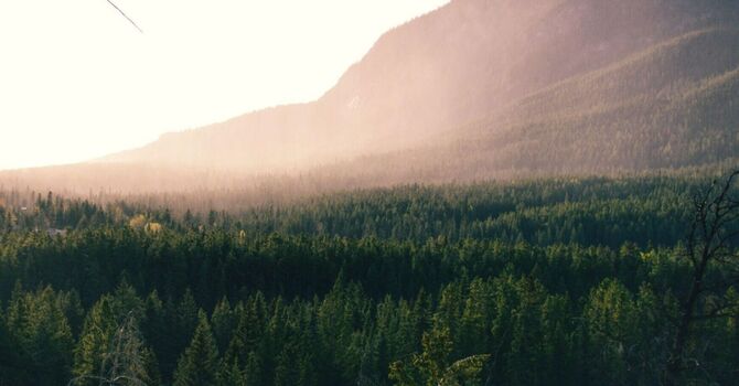 ADHD Assessment and Management